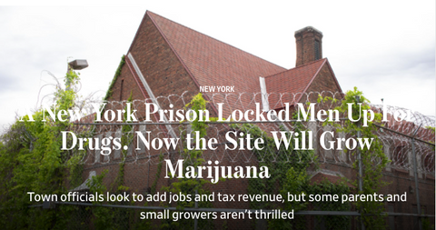 New York Prison Locked Men Up For Drugs. Now the Site Will Grow Marijuana.